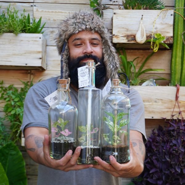 Terrario Eterno en Eco Botella Mediana - Imagen 9