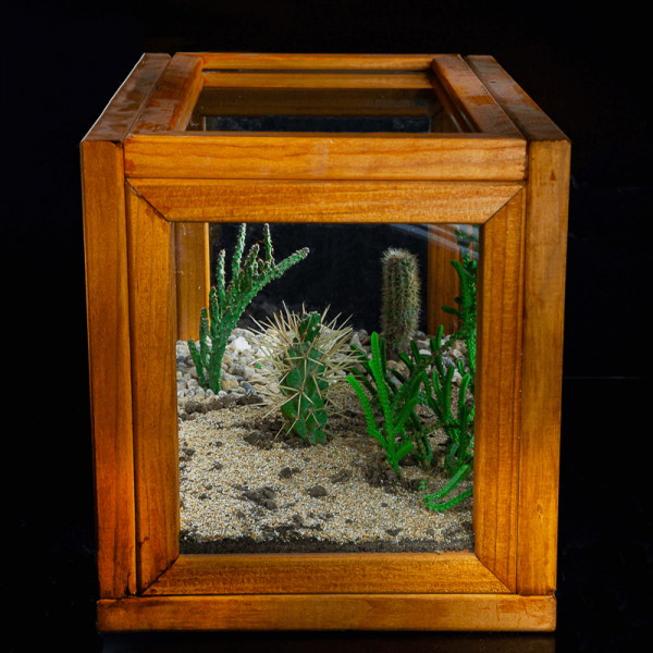 Terrario Eterno en Cubo Atacameño - Imagen 2