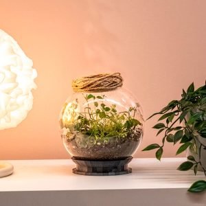 Terrario Eterno en Esfera Mediana