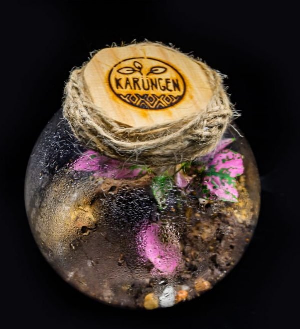 Terrario Eterno en Esfera Pequeña - Imagen 2
