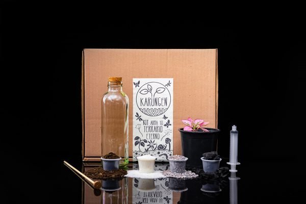 Kit Arma tu Terrario Eterno - Botella - Imagen 3
