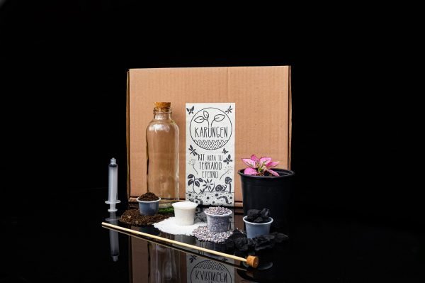 Kit Arma tu Terrario Eterno - Botella - Imagen 4