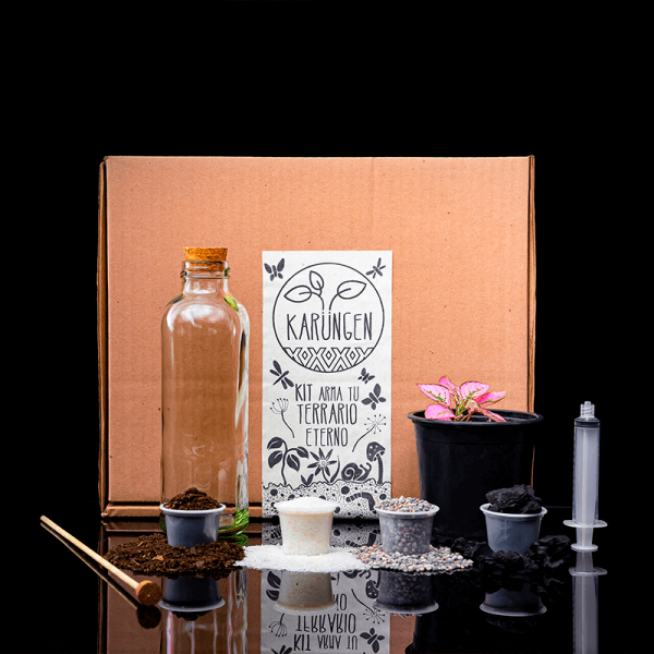 Kit Arma tu Terrario Eterno - Botella