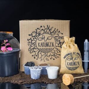 Kit Arma tu Terrario Eterno - Esfera Pequeña