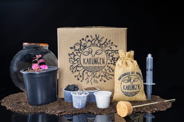 Kit Arma tu Terrario Eterno - Esfera Mediana