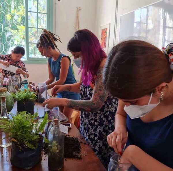 Taller Crea tu Terrario Eterno - Imagen 3